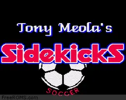 Tony Meola's Sidekicks Soccer online game screenshot 1