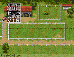 Derby Stallion II online game screenshot 2