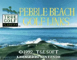 Pebble Beach Golf Links online game screenshot 1