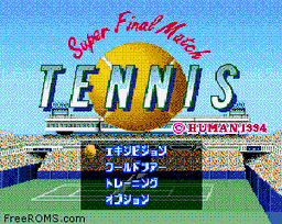 Super Final Match Tennis online game screenshot 1