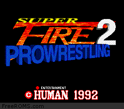 Super Fire Pro Wrestling 2 online game screenshot 1