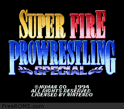 Super Fire Pro Wrestling Special online game screenshot 1
