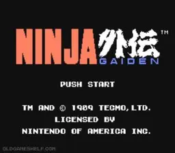 Ninja Gaiden scene - 4