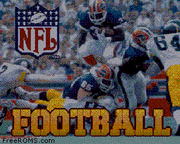NFL Football 1993-preview-image