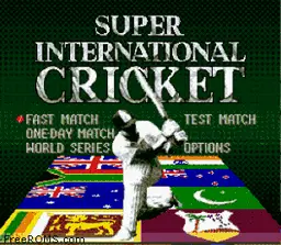 Super International Cricket-preview-image
