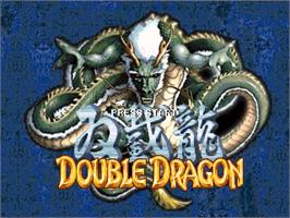 Double Dragon Advance