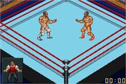 Fire Pro Wrestling 2 online game screenshot 3