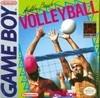 Beach Volleyball-preview-image