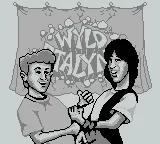 Bill & Ted's Excellent Gameboy Adventure online game screenshot 2