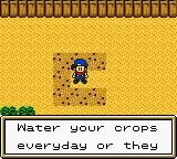 Harvest Moon 2 scene - 5