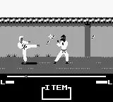 Master Karateka scene - 5