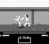 Master Karateka scene - 7