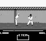 Master Karateka scene - 4