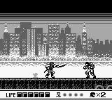 Ninja Gaiden Shadow scene - 5