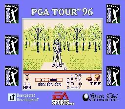 PGA Tour '96 online game screenshot 3