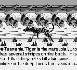 Tasmania Story online game screenshot 2