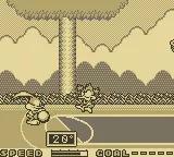 Tiny Toon Adventures - Wacky Sports scene - 6