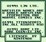 WWF Superstars online game screenshot 1