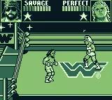 WWF Superstars scene - 6
