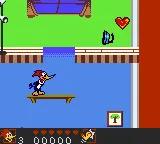 Woody Woodpecker scene - 5