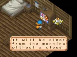 Harvest Moon 64 scene - 5