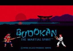 Budokan - The Martial Spirit online game screenshot 1