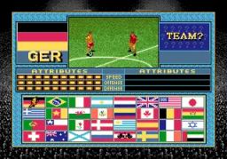 Champions World Class Soccer online game screenshot 3