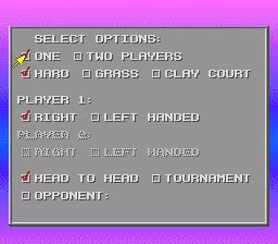 David Crane's Amazing Tennis online game screenshot 2