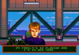 home alone 2 lost in new york sega genesis