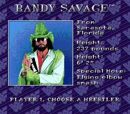 WWF Royal Rumble online game screenshot 3