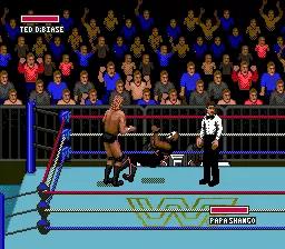 WWF Super WrestleMania scene - 5