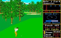 World Class Leaderboard Golf scene - 6