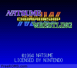 Natsume Championship Wrestling online game screenshot 1