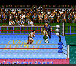 Natsume Championship Wrestling online game screenshot 2