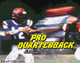 Pro Quarterback online game screenshot 1