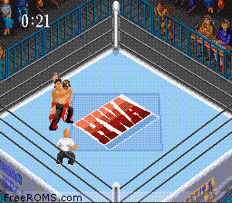 Super Fire Pro Wrestling 2 online game screenshot 2