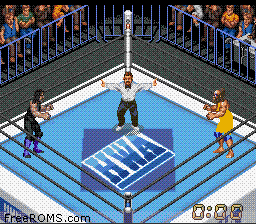 Super Fire Pro Wrestling X online game screenshot 2