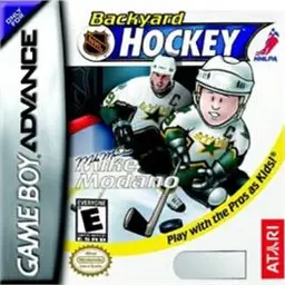 Backyard Hockey online game screenshot 1