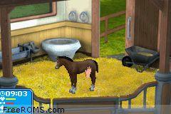 Best Friends - My Horse online game screenshot 1