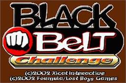 Black Belt Challenge online game screenshot 2