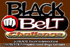 Black Belt Challenge scene - 4