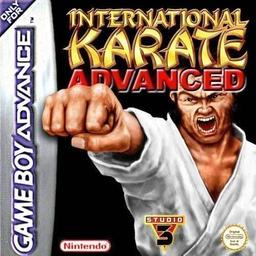 International Karate Advanced online game screenshot 1