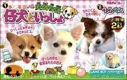 Koinu-Chan No Hajimete No Osanpo - Koinu No Kokoro Ikusei Game game screenshot 1 Koinu-Chan No Hajimete No Osanpo - Koinu No Kokoro Ikusei Game online game screenshot 1