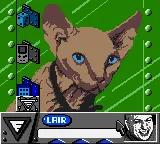 Austin Powers - Welcome to My Underground Lair! game screenshot 6 Austin Powers - Welcome to My Underground Lair! scene - 6