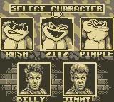 Battletoads Double Dragon - The Ultimate Team online game screenshot 2