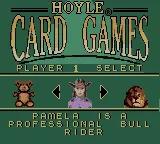 Hoyle Card Games online game screenshot 3