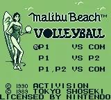 Malibu Beach Volleyball online game screenshot 1
