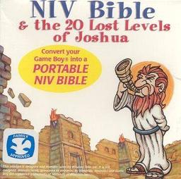 NIV Bible online game screenshot 1
