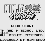Ninja Gaiden Shadow online game screenshot 1