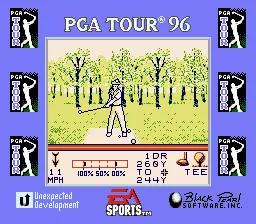 PGA Tour '96 scene - 4